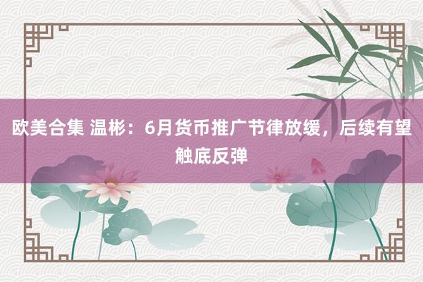 欧美合集 温彬：6月货币推广节律放缓，后续有望触底反弹