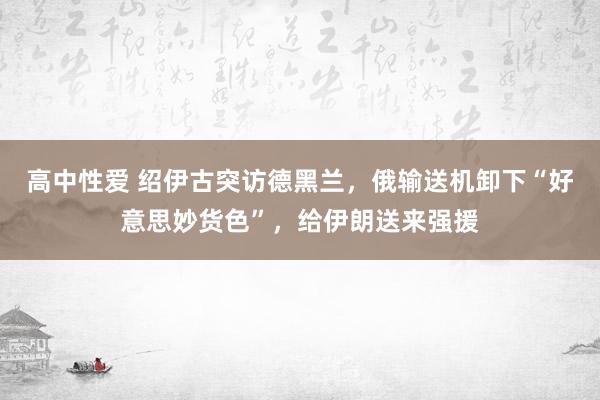 高中性爱 绍伊古突访德黑兰，俄输送机卸下“好意思妙货色”，给伊朗送来强援