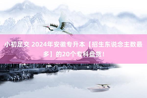 小初足交 2024年安徽专升本【招生东说念主数最多】的20个专科盘货！