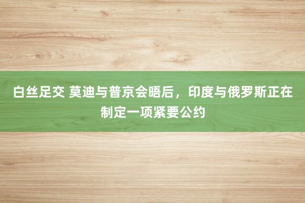 白丝足交 莫迪与普京会晤后，印度与俄罗斯正在制定一项紧要公约