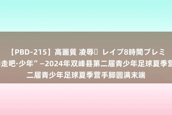 【PBD-215】高画質 凌辱・レイプ8時間プレミアムBEST “奔走吧·少年”—2024年双峰县第二届青少年足球夏季营手脚圆满末端