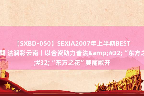 【SXBD-050】SEXIA2007年上半期BEST 全35作品8時間 法润彩云南丨以合资助力普法&#32;“东方之花”美丽敞开